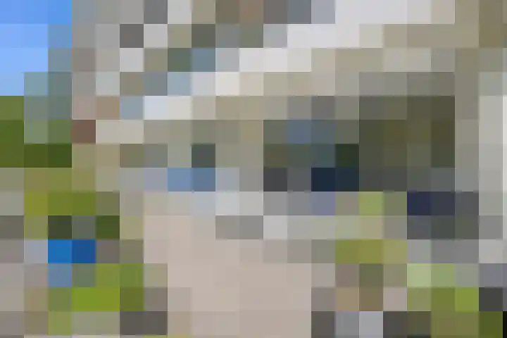 Vlaskamp 94 Den Haag thumbnail 14