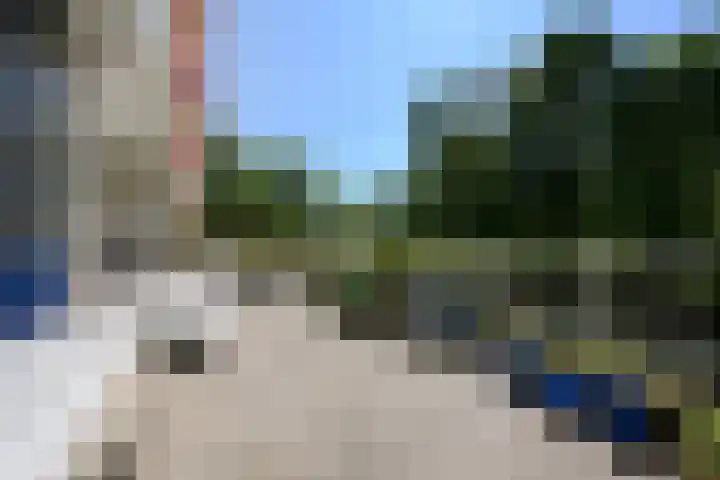 Vlaskamp 94 Den Haag thumbnail 15