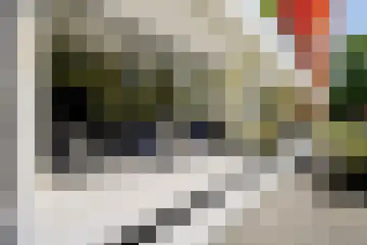 Vlaskamp 94 Den Haag thumbnail 16