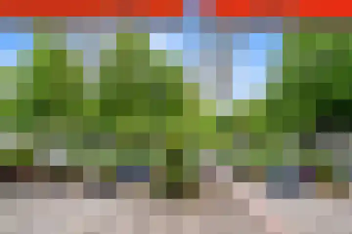 Vlaskamp 94 Den Haag thumbnail 17