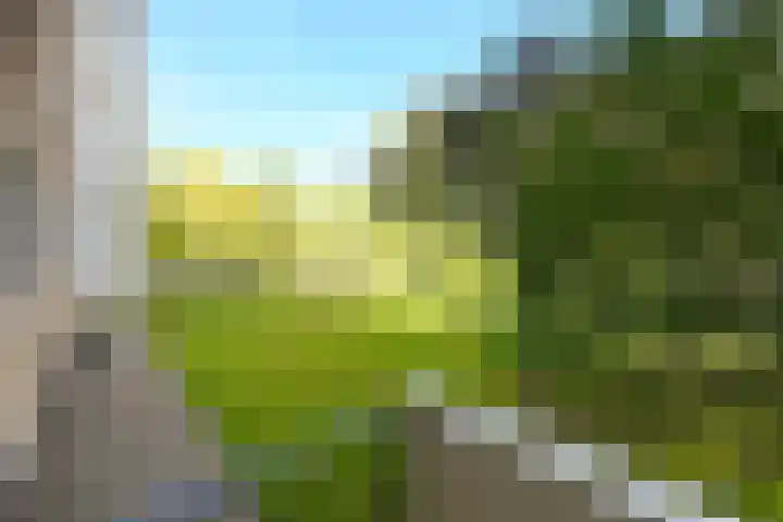 Vlaskamp 94 Den Haag thumbnail 23
