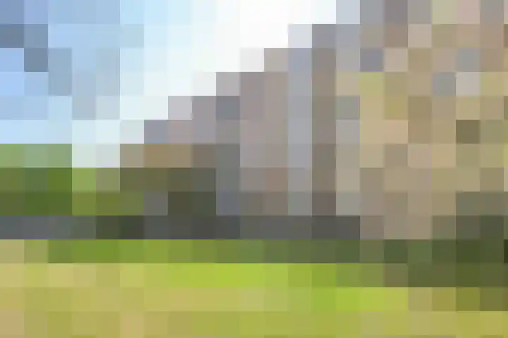 Vlaskamp 94 Den Haag thumbnail 24