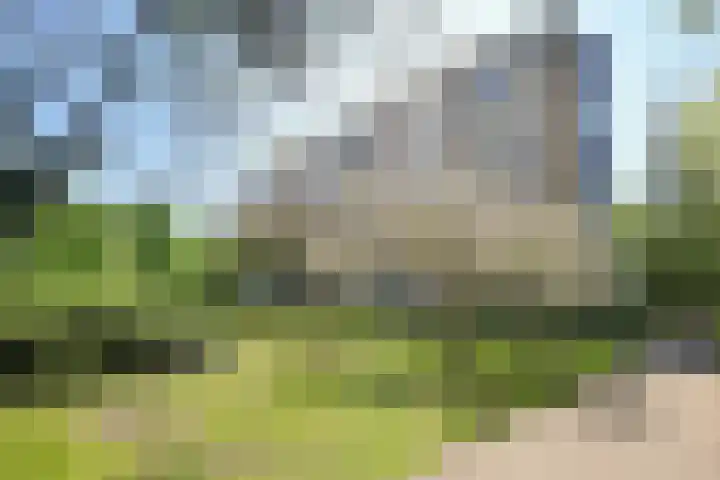 Vlaskamp 94 Den Haag thumbnail 25