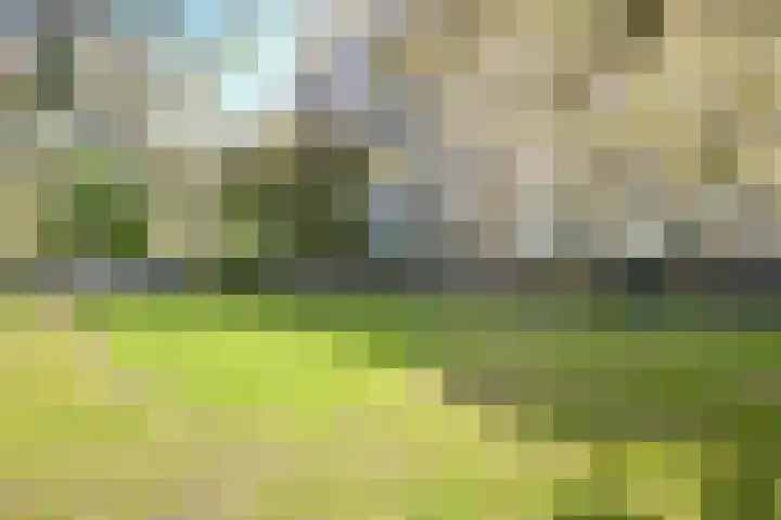 Vlaskamp 94 Den Haag thumbnail 26