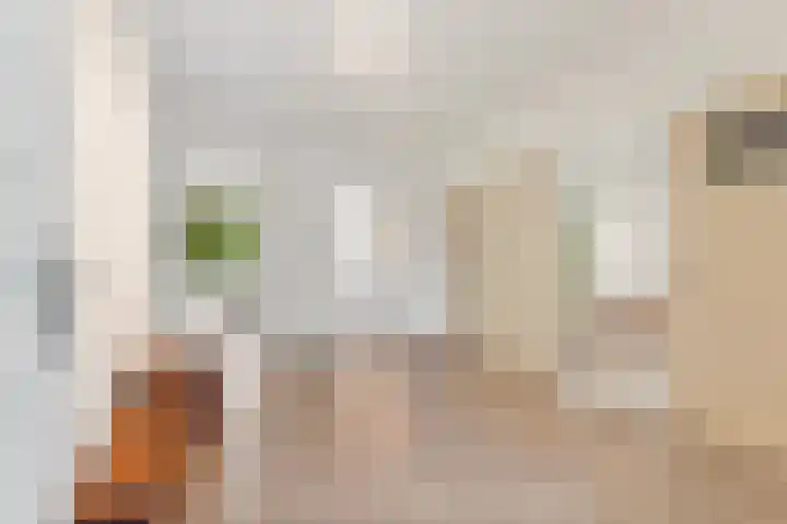 Vlaskamp 94 Den Haag thumbnail 33