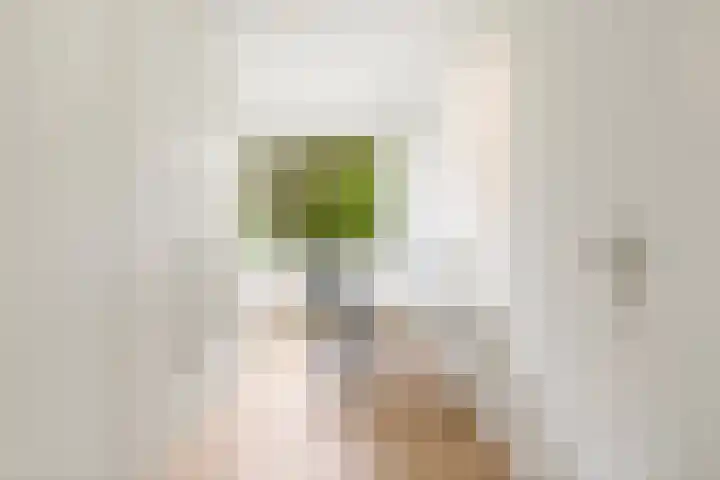 Vlaskamp 94 Den Haag thumbnail 35