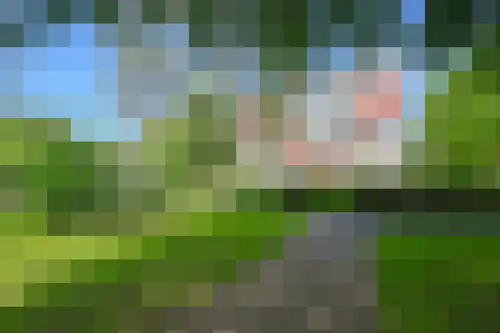 Vlaskamp 94 Den Haag thumbnail 36