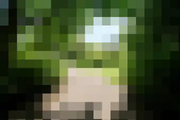 Vlaskamp 94 Den Haag thumbnail 37