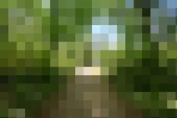 Vlaskamp 94 Den Haag thumbnail 38