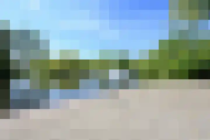 Vlaskamp 94 Den Haag thumbnail 39