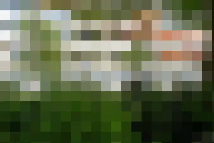 Vlaskamp 94 Den Haag thumbnail 4