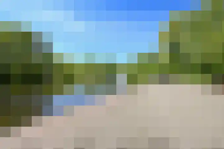 Vlaskamp 94 Den Haag thumbnail 40