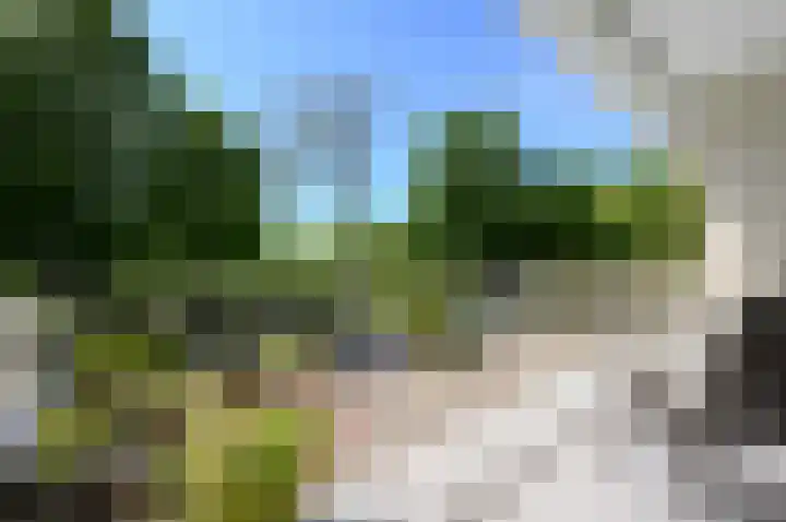 Vlaskamp 94 Den Haag thumbnail 45