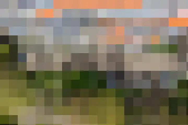 Vlaskamp 94 Den Haag thumbnail 5
