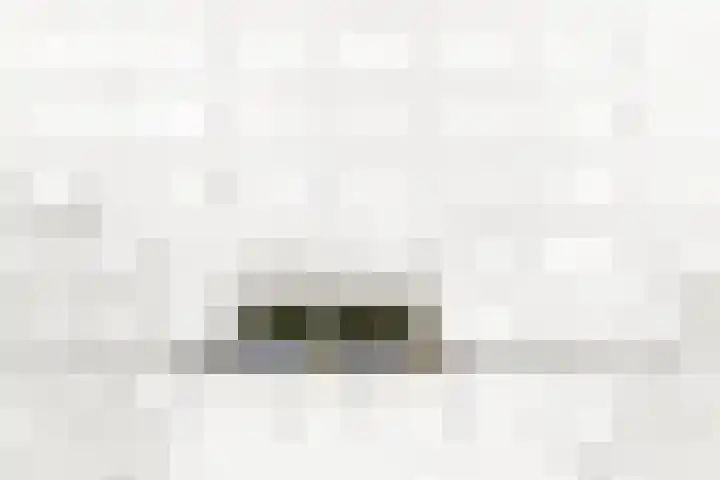 Vlaskamp 94 Den Haag thumbnail 6