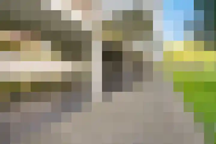 Vlaskamp 94 Den Haag thumbnail 7