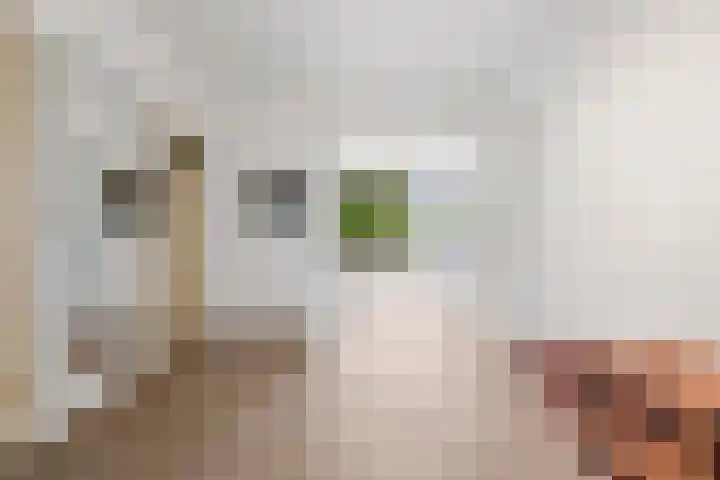 Vlaskamp 94 Den Haag thumbnail 8
