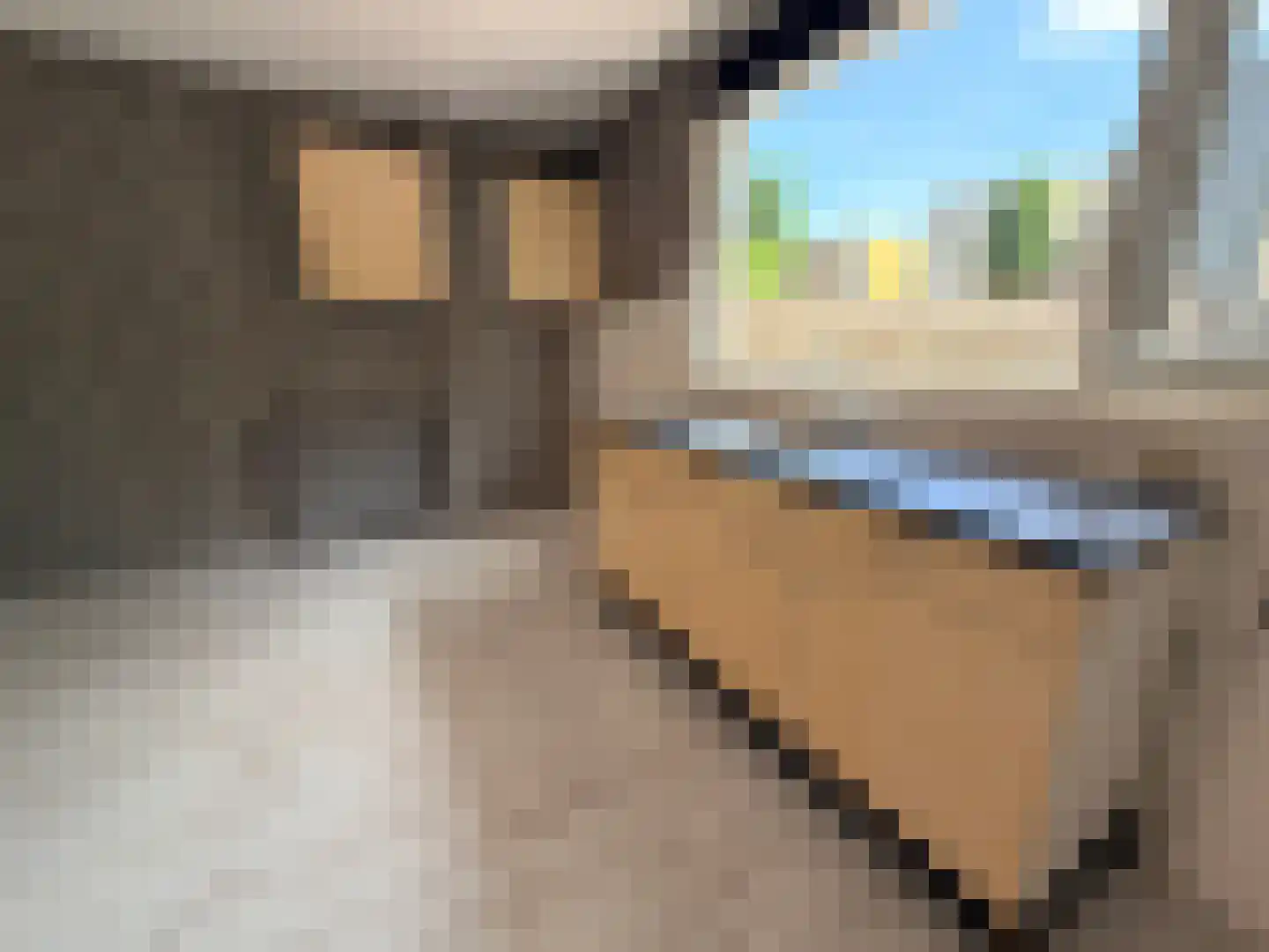 Vlaskruid 35 Zeewolde thumbnail 10