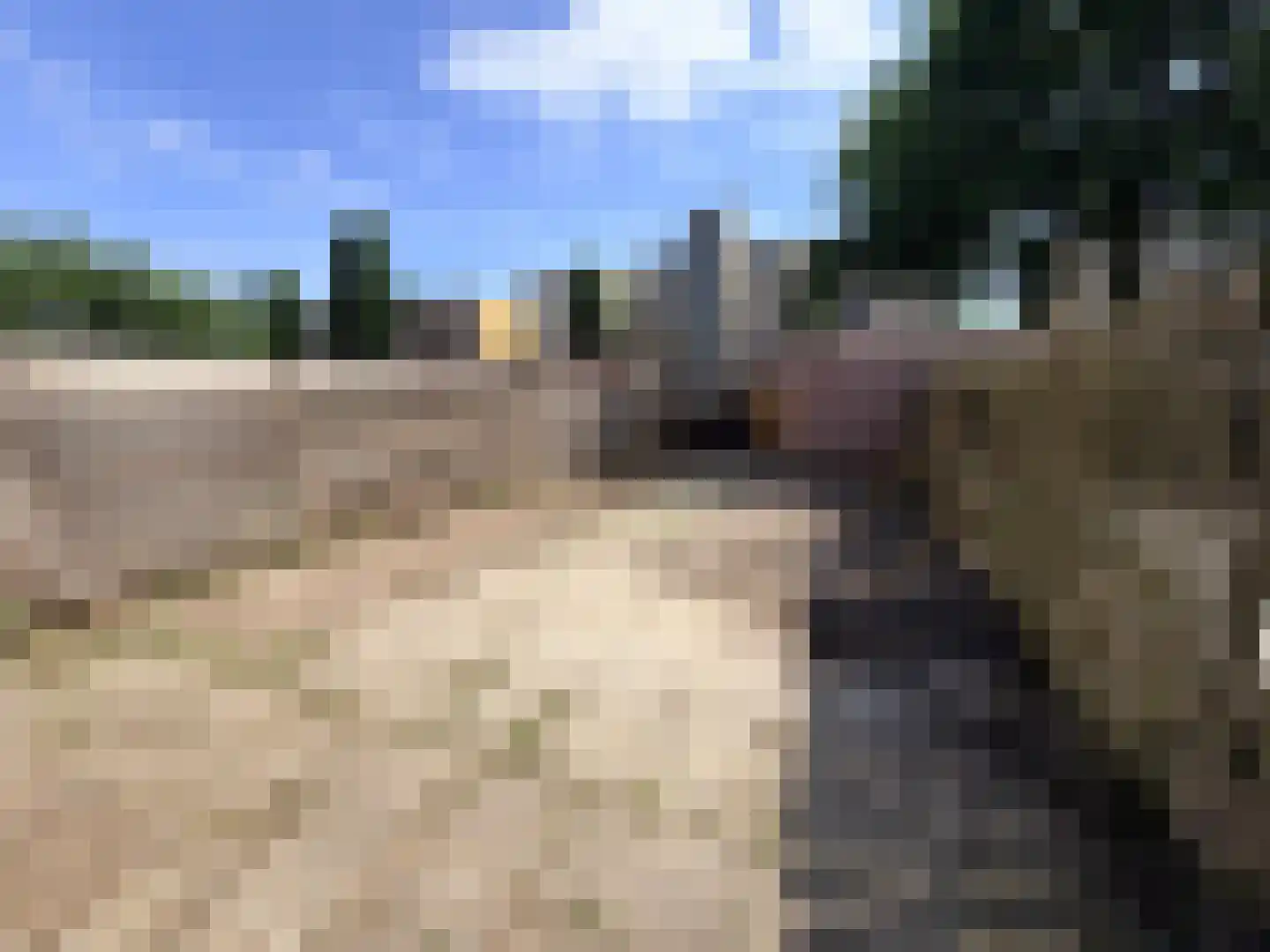 Vlaskruid 35 Zeewolde thumbnail 14