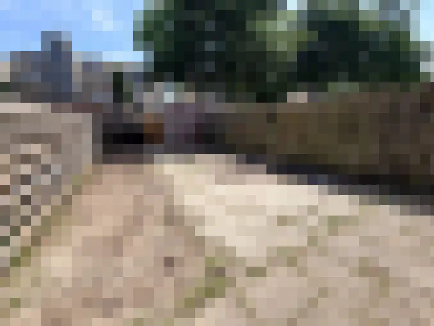 Vlaskruid 35 Zeewolde thumbnail 15