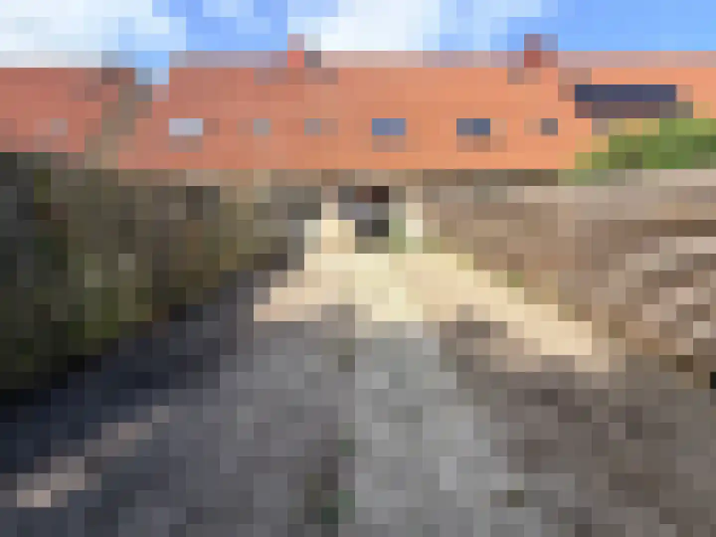 Vlaskruid 35 Zeewolde thumbnail 16