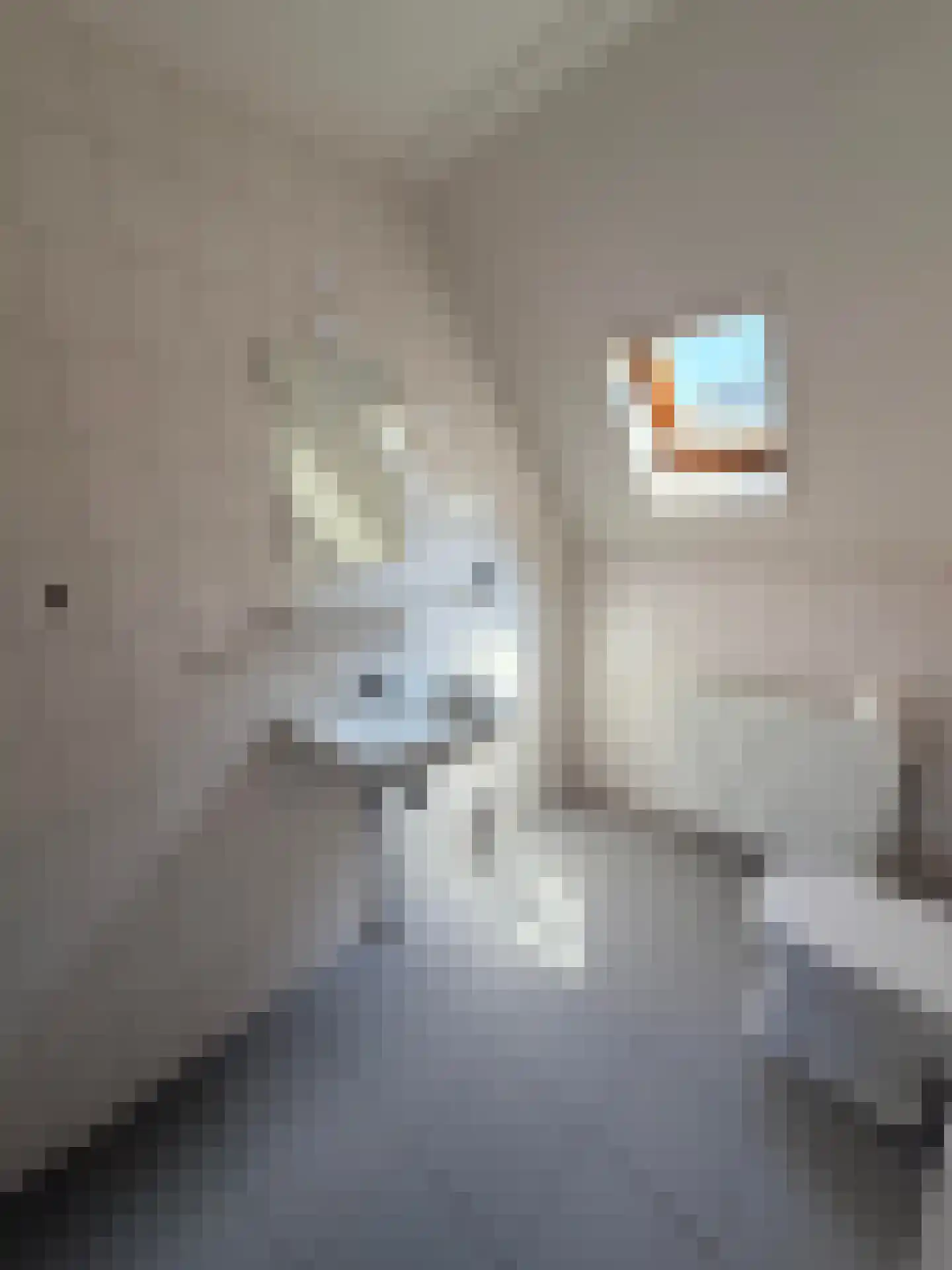 Vlaskruid 35 Zeewolde thumbnail 26