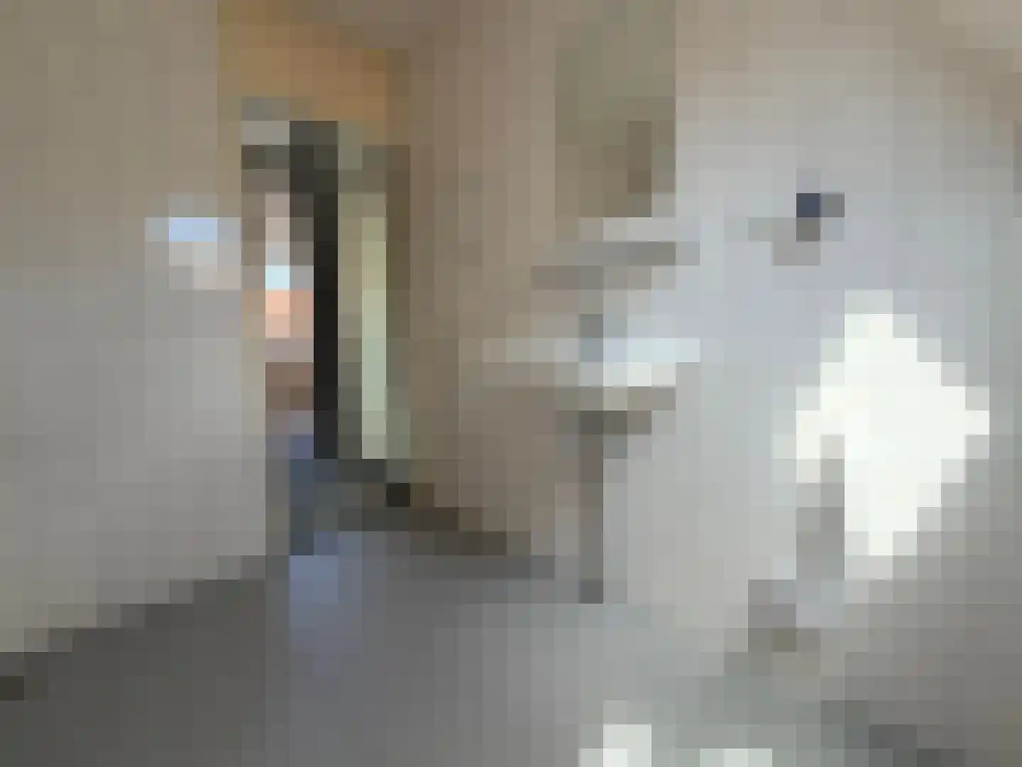 Vlaskruid 35 Zeewolde thumbnail 27