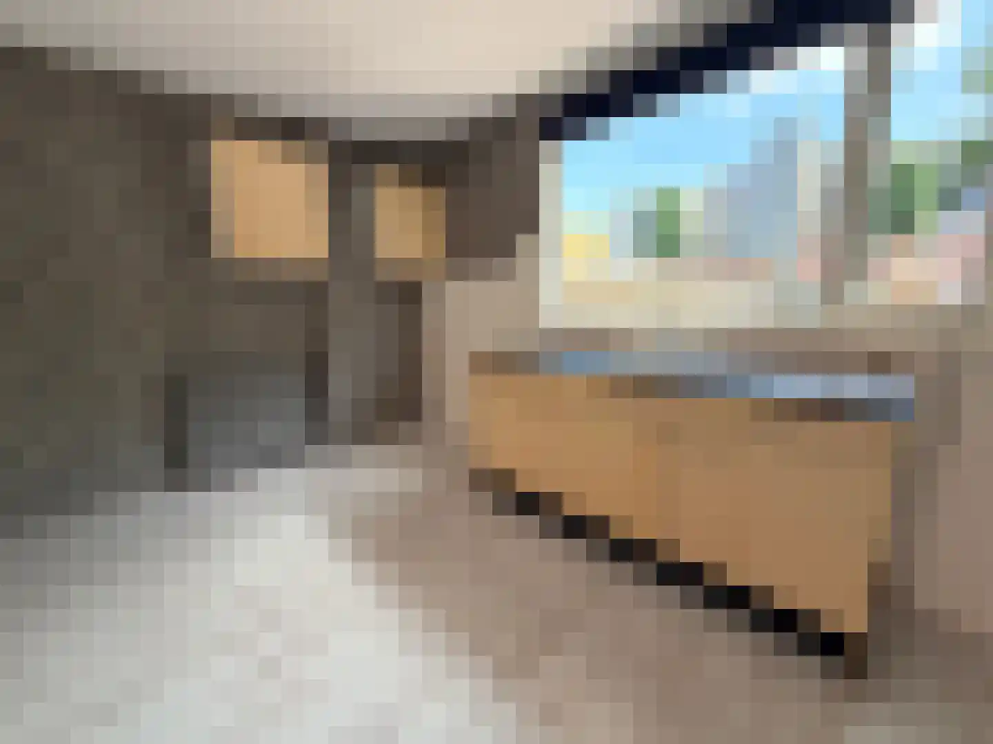 Vlaskruid 35 Zeewolde thumbnail 9