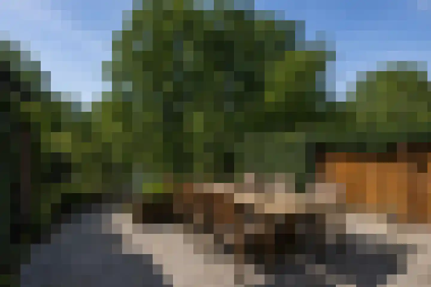 Vlasland 12 Leusden thumbnail 21