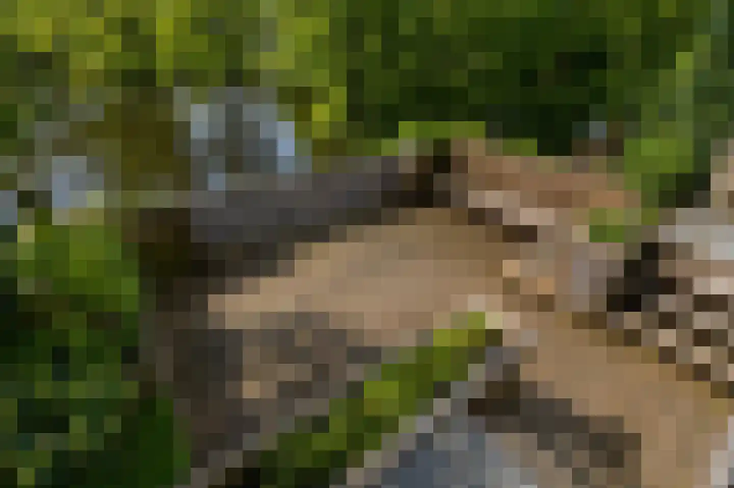 Vlasland 12 Leusden thumbnail 22
