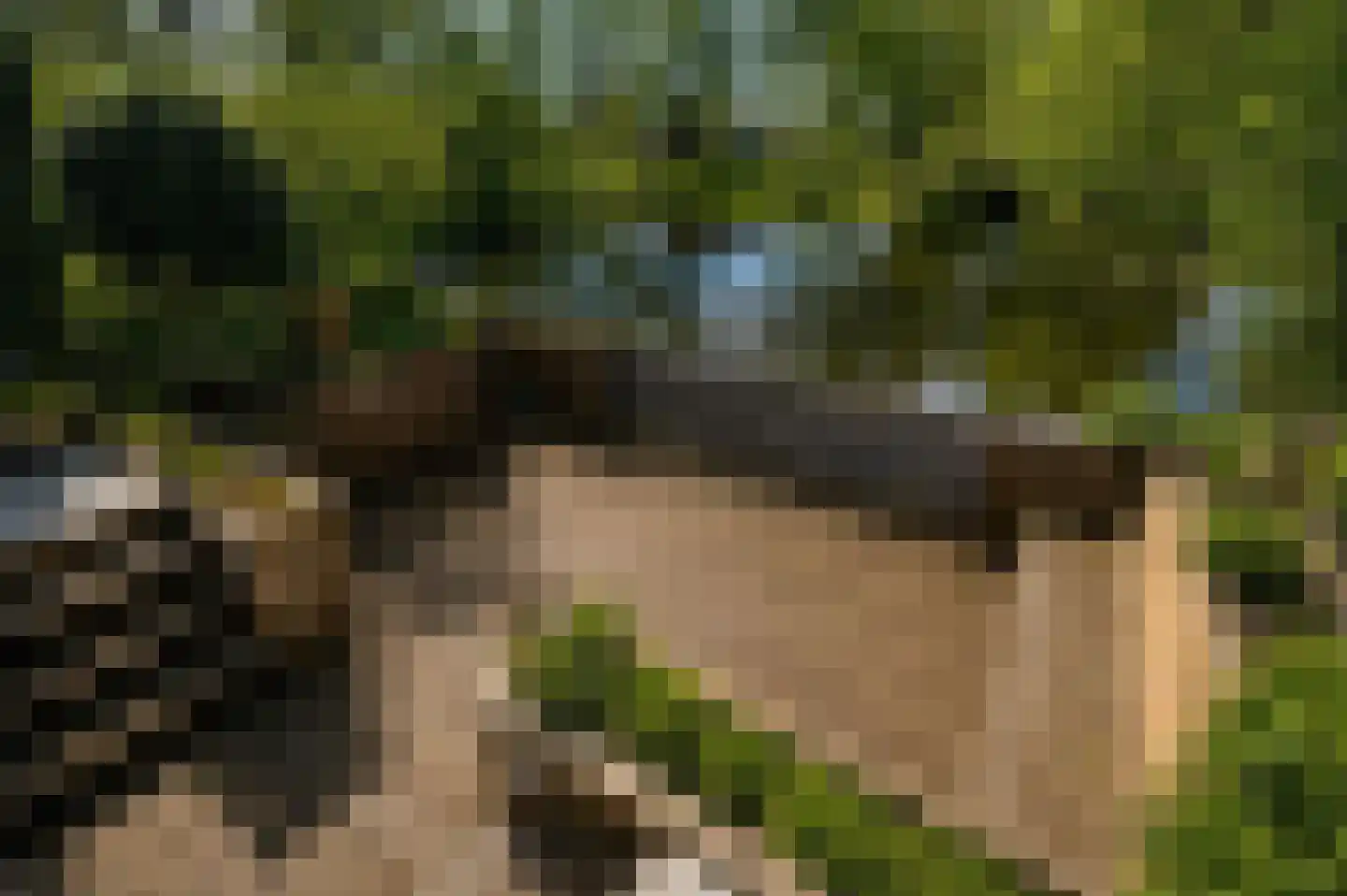 Vlasland 12 Leusden thumbnail 23