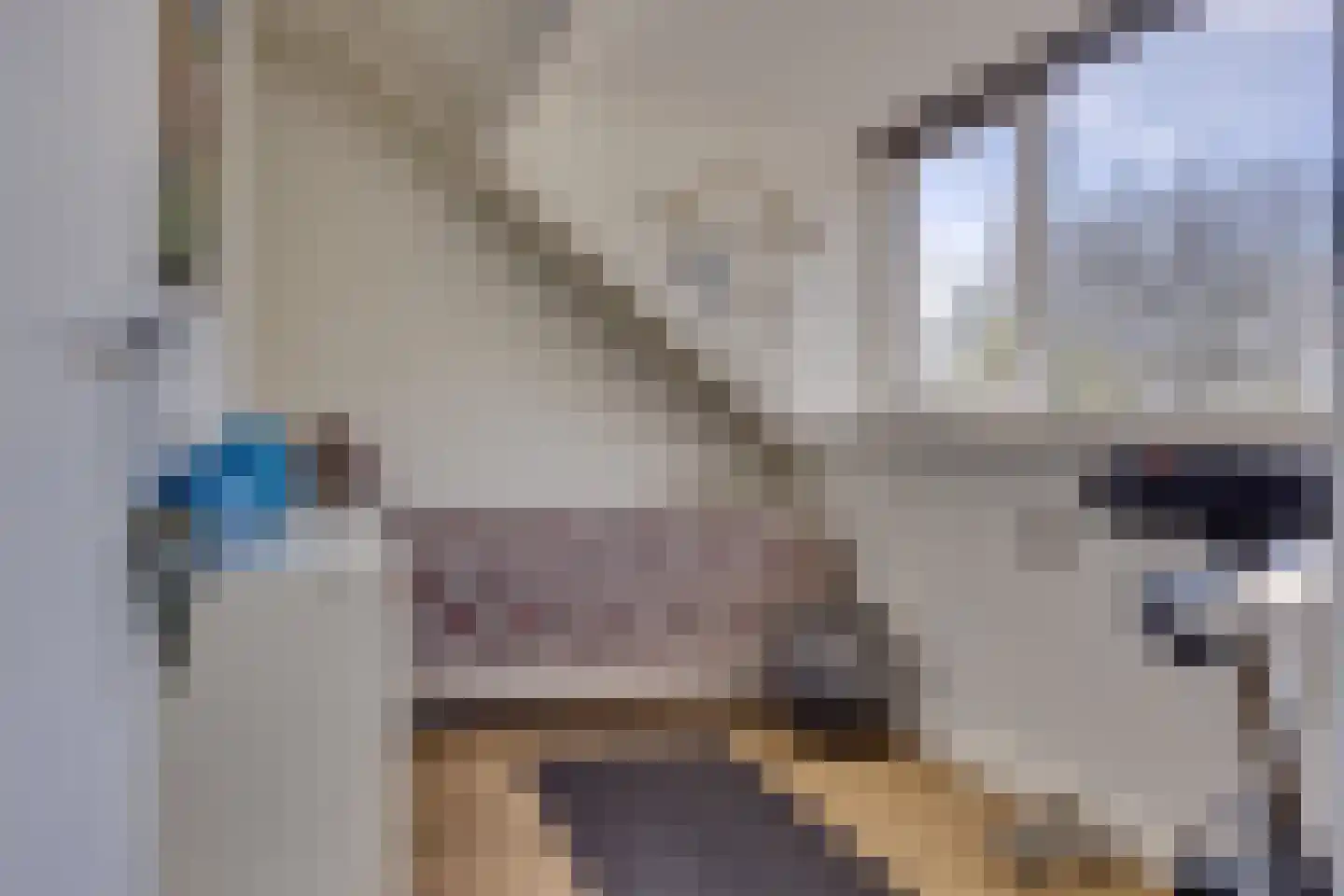 Vlasland 12 Leusden thumbnail 30