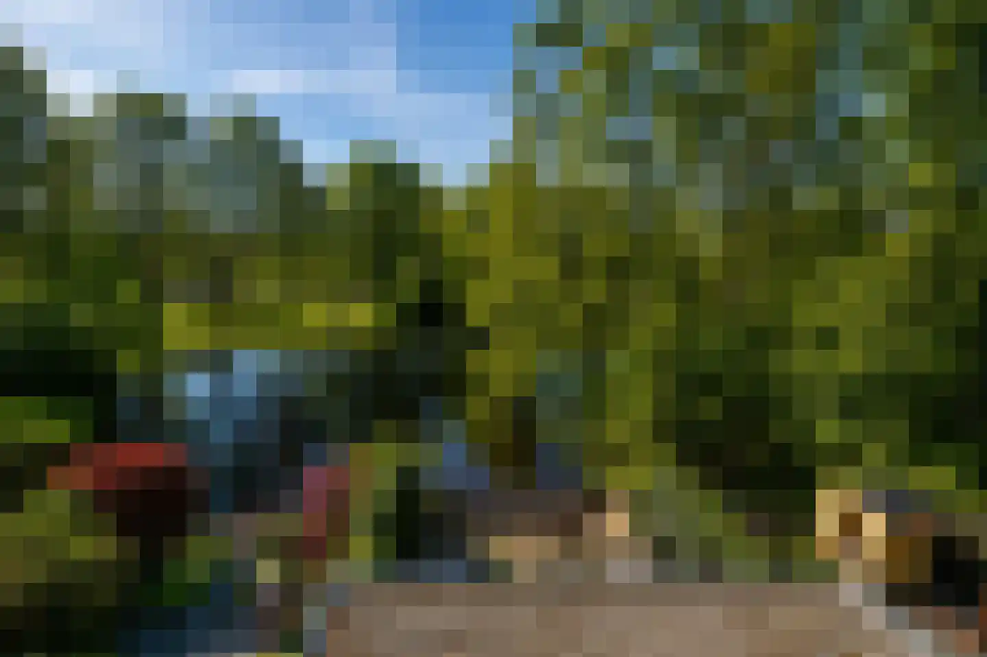Vlasland 12 Leusden thumbnail 40