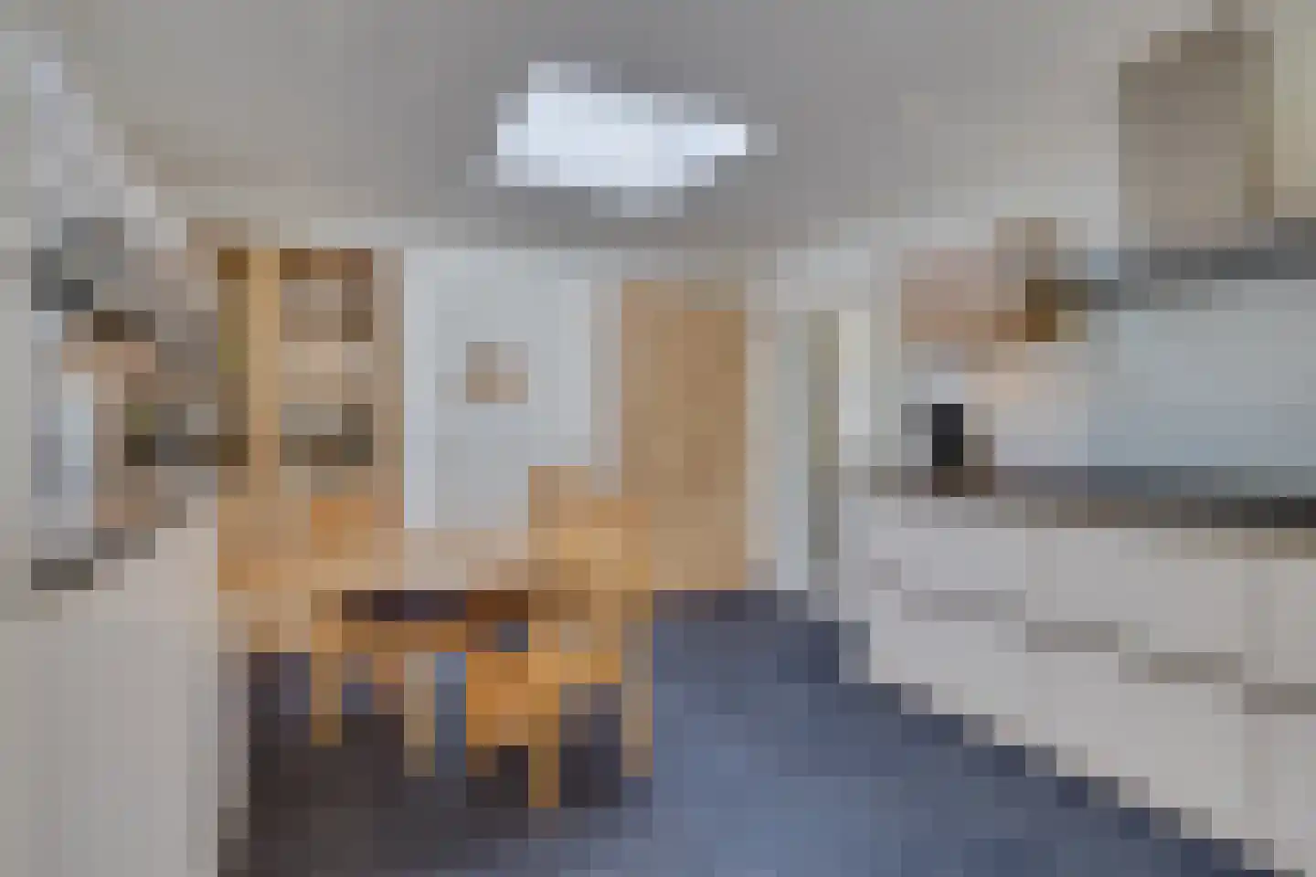 Vlasland 28 Leusden thumbnail 17
