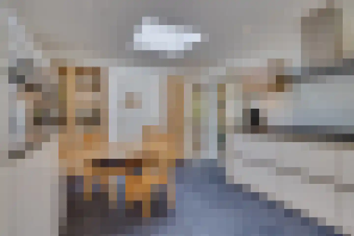 Vlasland 28 Leusden thumbnail 18