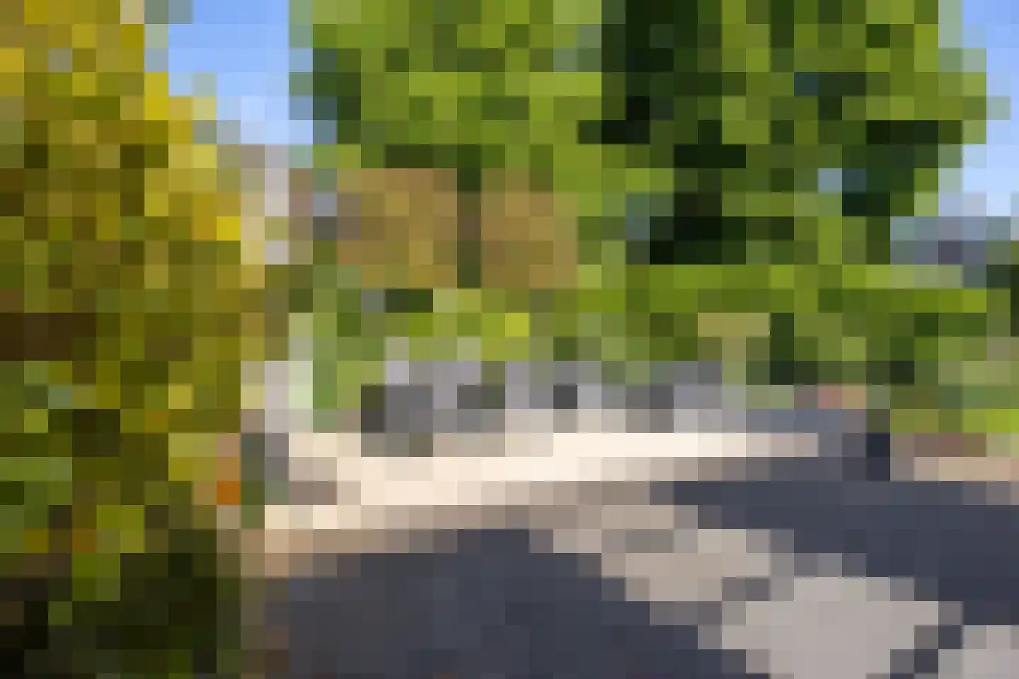 Vlasland 28 Leusden thumbnail 40