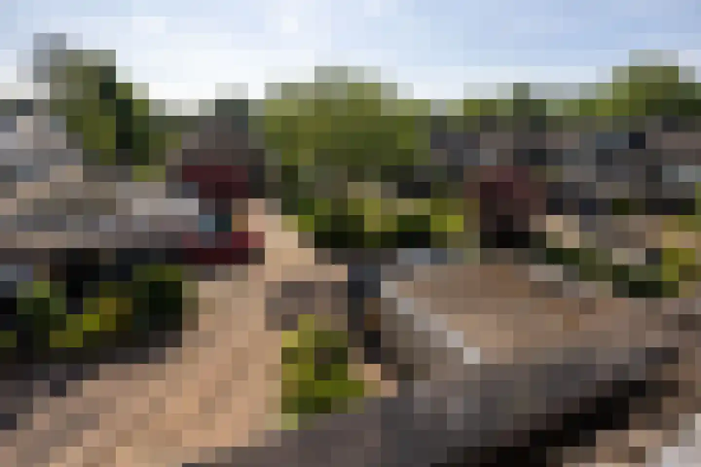 Vlasland 28 Leusden thumbnail 41