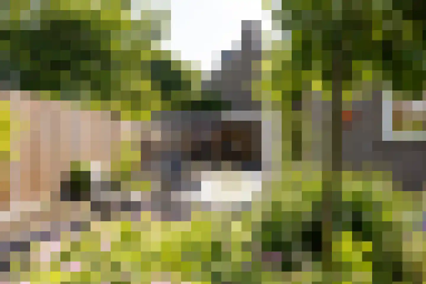 Vlasland 28 Leusden thumbnail 46