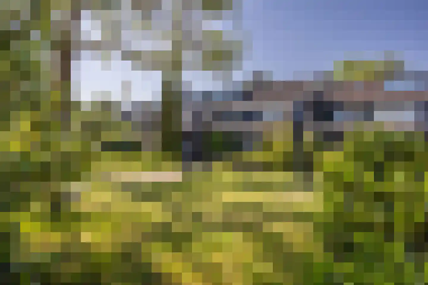 Vlasland 28 Leusden thumbnail 50