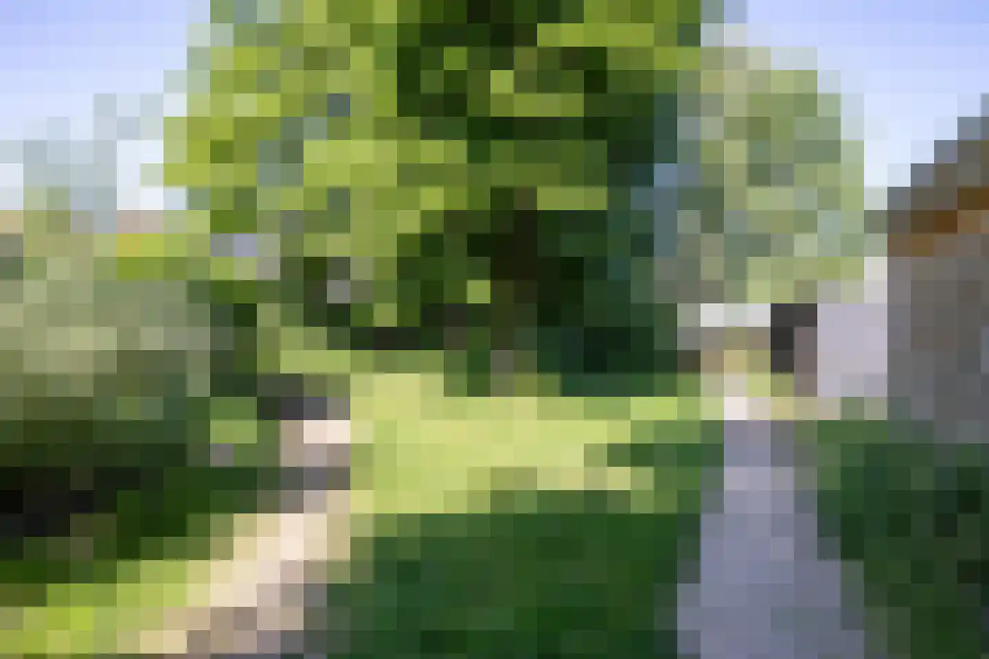 Vlasland 28 Leusden thumbnail 51