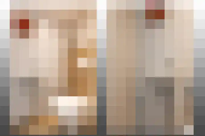 Vlasland 34 Leusden thumbnail 10