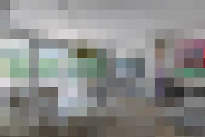 Vlasland 34 Leusden thumbnail 18