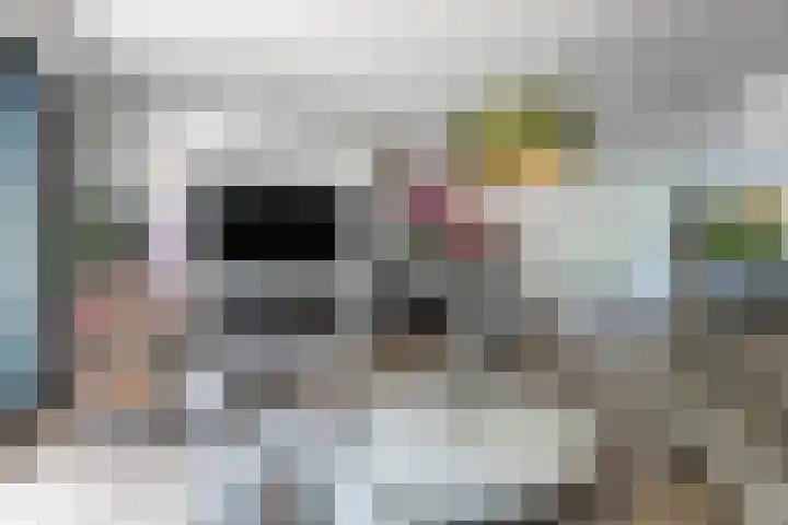 Vlasland 34 Leusden thumbnail 21