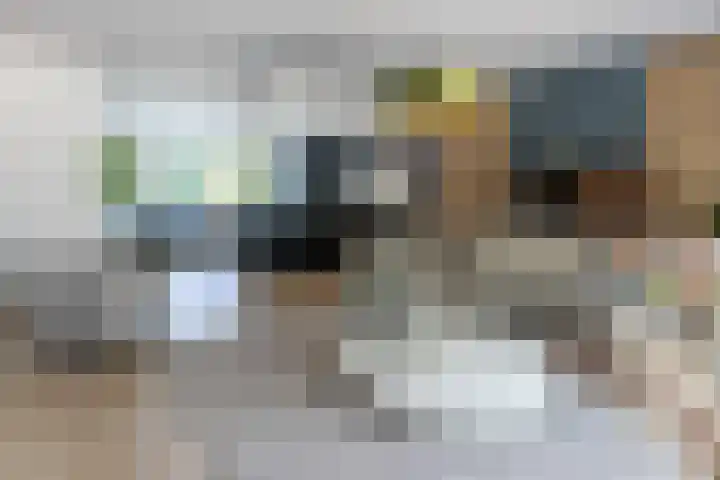 Vlasland 34 Leusden thumbnail 22