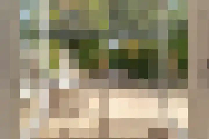 Vlasland 34 Leusden thumbnail 25