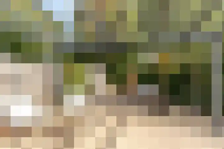 Vlasland 34 Leusden thumbnail 26