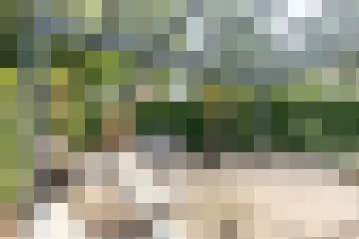 Vlasland 34 Leusden thumbnail 27