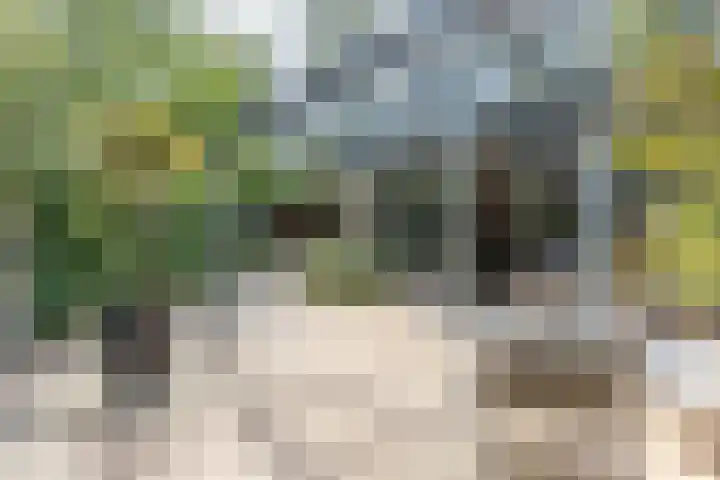 Vlasland 34 Leusden thumbnail 29