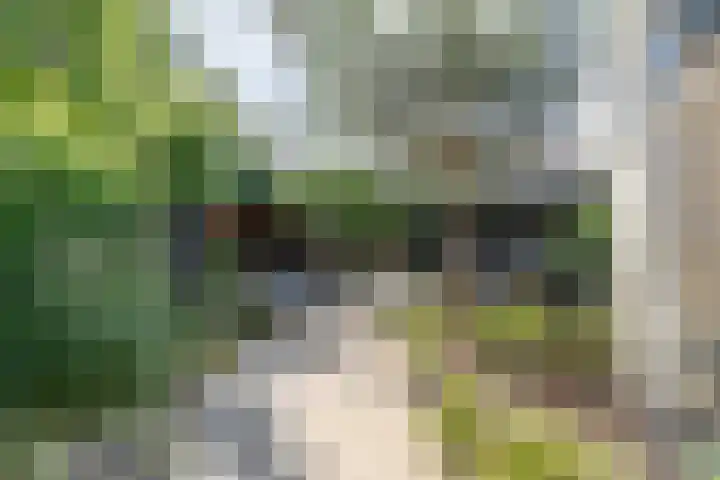 Vlasland 34 Leusden thumbnail 30