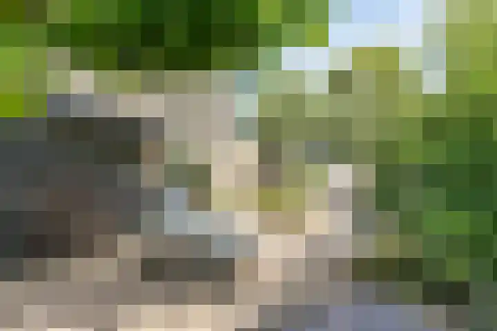 Vlasland 34 Leusden thumbnail 31